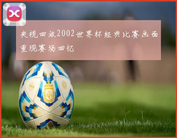 央视回放2002世界杯经典比赛画面重现赛场回忆