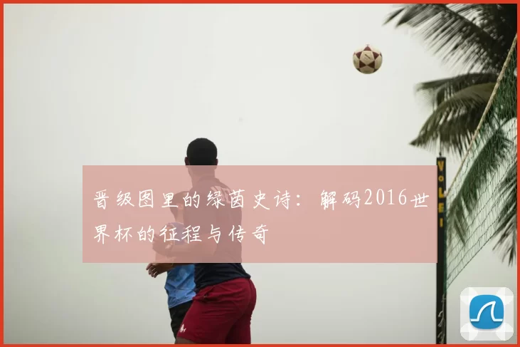 晋级图里的绿茵史诗:解码2016世界杯的征程与传奇