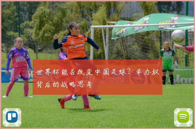 世界杯能否改变中国足球？举办权背后的战略思考
