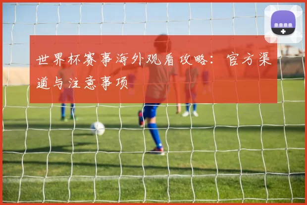 世界杯赛事海外观看攻略:官方渠道与注意事项