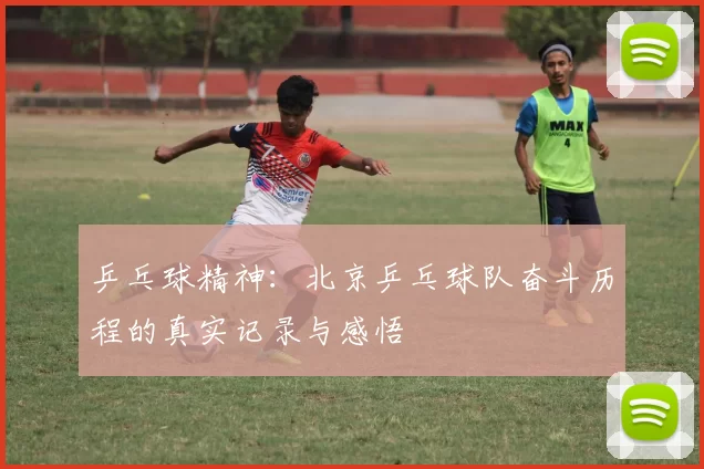 乒乓球精神：北京乒乓球队奋斗历程的真实记录与感悟