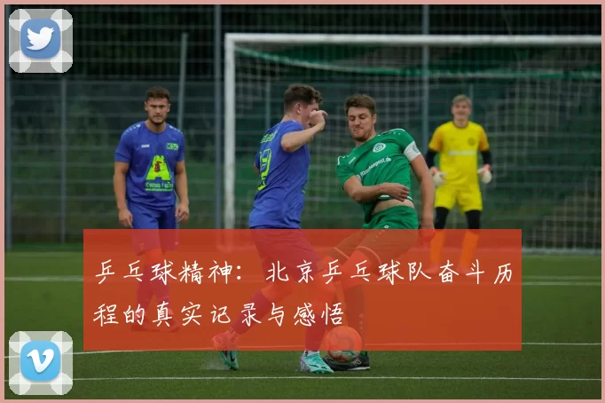 乒乓球精神:北京乒乓球队奋斗历程的真实记录与感悟
