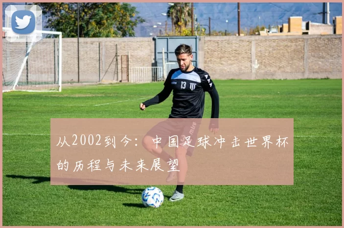从2002到今：中国足球冲击世界杯的历程与未来展望