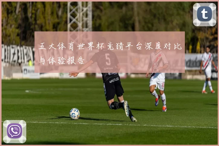 五大体育世界杯竞猜平台深度对比与体验报告