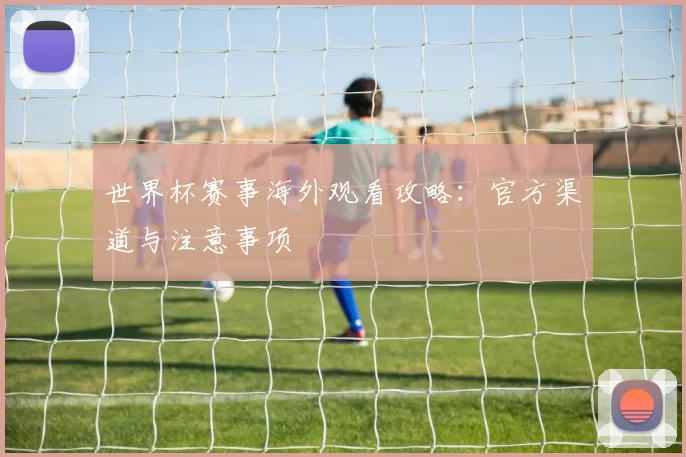 世界杯赛事海外观看攻略:官方渠道与注意事项