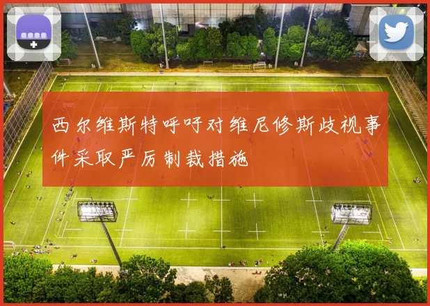 西尔维斯特呼吁对维尼修斯歧视事件采取严厉制裁措施
