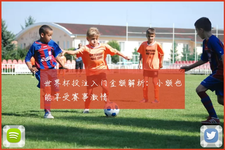 世界杯投注入门金额解析:小额也能享受赛事激情
