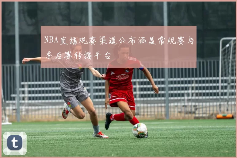 NBA直播观赛渠道公布涵盖常规赛与季后赛转播平台