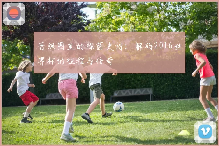 晋级图里的绿茵史诗：解码2016世界杯的征程与传奇