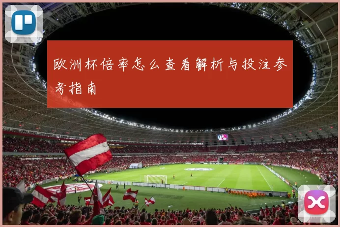 欧洲杯倍率怎么查看解析与投注参考指南