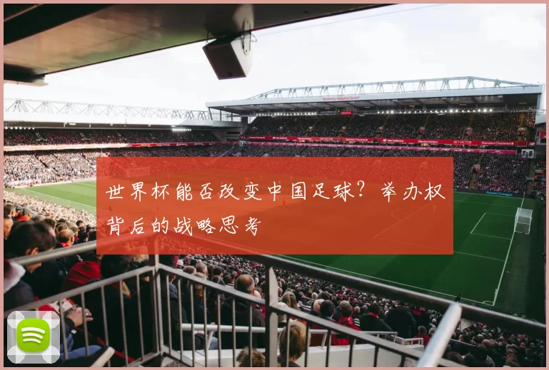 世界杯能否改变中国足球？举办权背后的战略思考