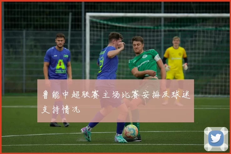 鲁能中超联赛主场比赛安排及球迷支持情况