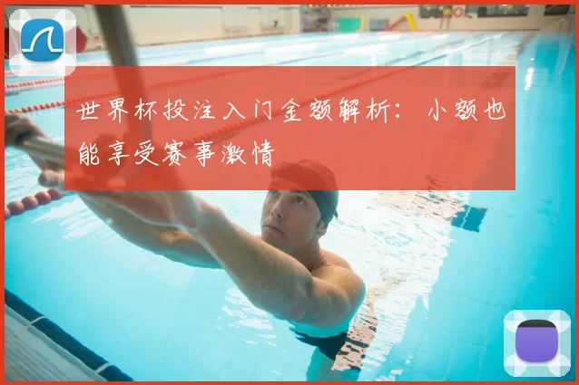 世界杯投注入门金额解析:小额也能享受赛事激情