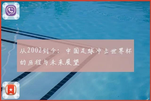 从2002到今：中国足球冲击世界杯的历程与未来展望