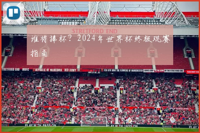 谁将捧杯？2024年世界杯终极观赛指南